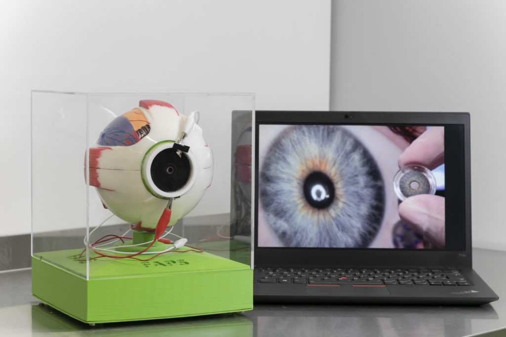 over-sized plastic model of the eye