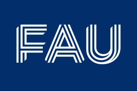 Zum Artikel "Das Projekt DaLi – Data Literacy for Citizenship hat in einer Kooperation von 5 europäischen Hochschulen Leitlinien zur Politikberatung entwickelt"