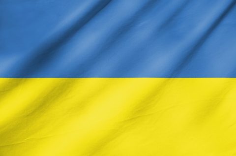 Zum Artikel "Diskussion: Ein Jahr Krieg in der Ukraine"