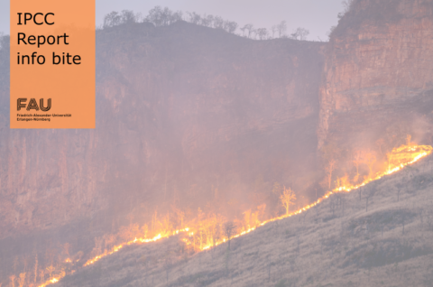 Zum Artikel "Gibt es durch den Klimawandel mehr Waldbrände?"