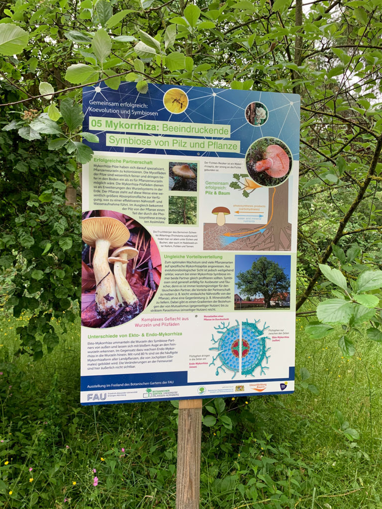 Plakat im Botanischen Garten der FAU