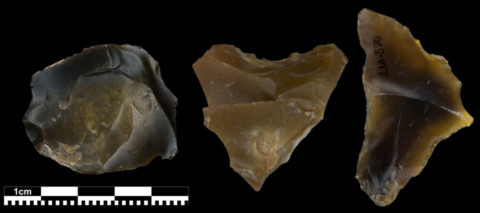 Multifunktionale Steingeräte des Lagerplatzes in Lichtenberg aus der Zeit vor 90.000 Jahren (Foto: M. Weiß)