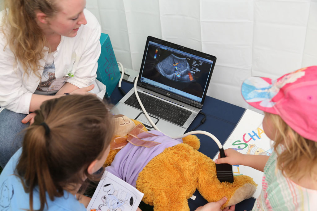 Ein Teddy wird mit einem Ultraschallgerät untersucht.