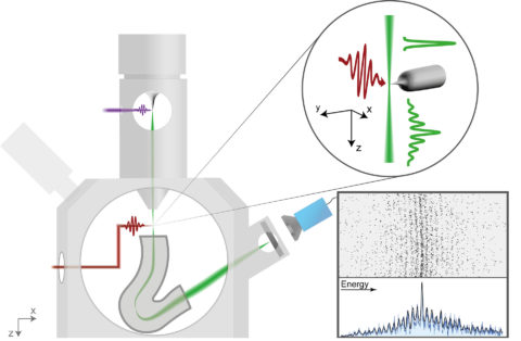 Grafik eines Elektronenmikroskop.