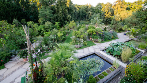 Blick von oben auf den Botanischen Garten in Erlangen