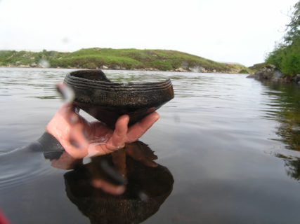 Eine Hand hält eine gut erhaltene Schale aus dem Wasser hoch.