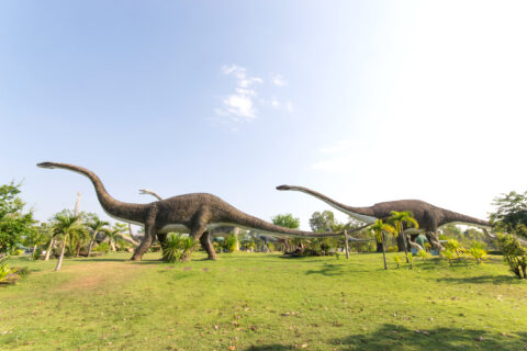 Langhalsige Sauropoden - Dinosaurier-Statuen.