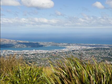 Ein Ausblick auf Dunedin. (Bild: Robin Bohn)