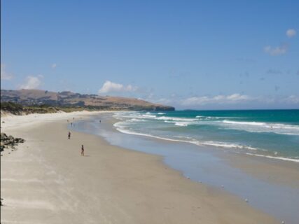 Der Strand von Dunedin. (Bild: Robin Bohn)