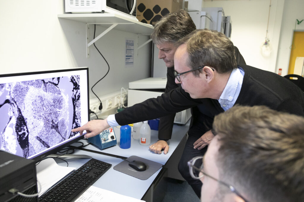Prof. Dr. Veith Rothhammer und Prof. Dr. Joachim Hornegger an einem PC-Bildschirm.