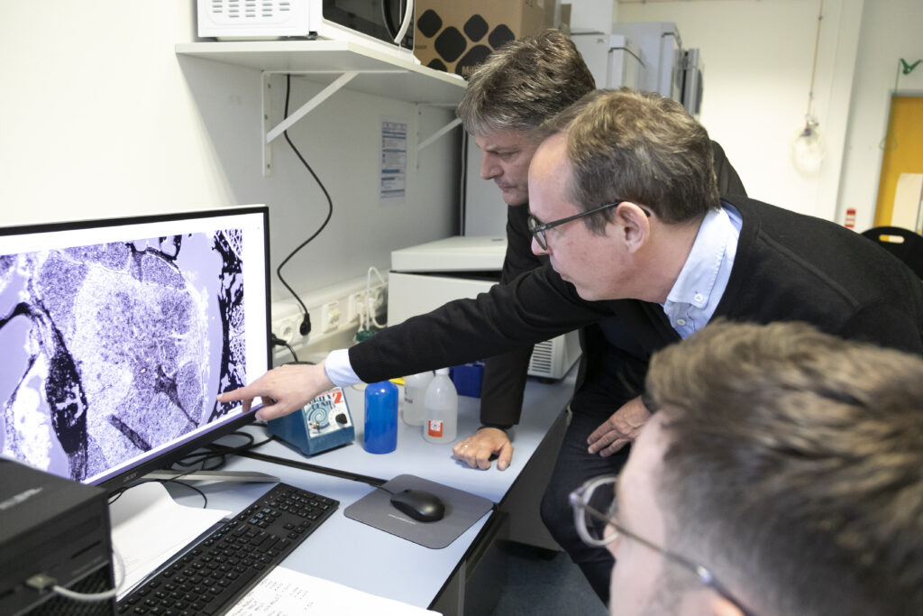 Prof. Dr. Veith Rothhammer and Prof. Dr. Joachim Hornegger looking at a pc monitor. 