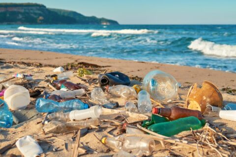 Spilled garbage on the beach of the big city. Empty used dirty p