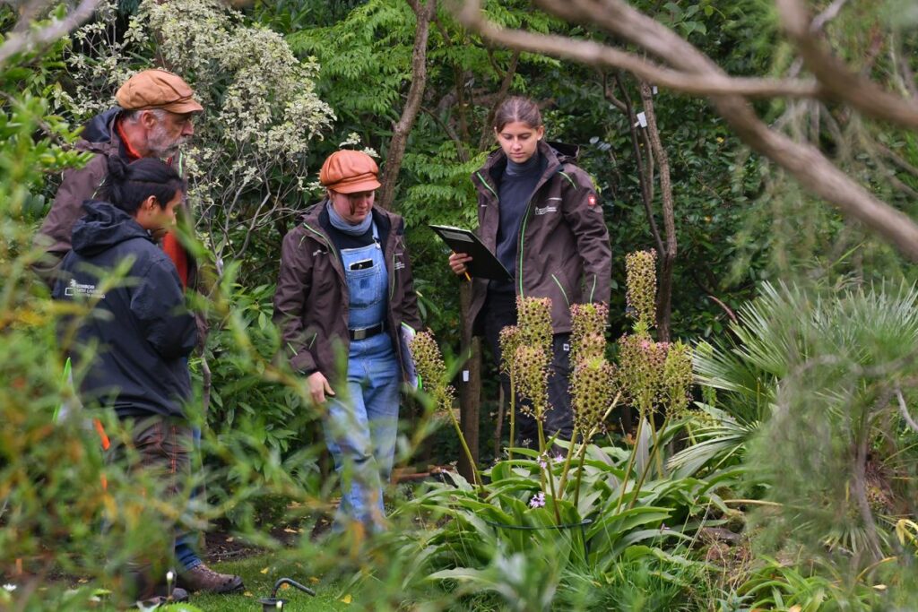 Vier Gärtnerinnen und Gärtner stehen im Botanischen Garten.