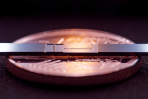 Im Bild ist der Mikrochip mit den Strukturen zu sehen und im Vergleich dazu eine 1-Cent-Münze.