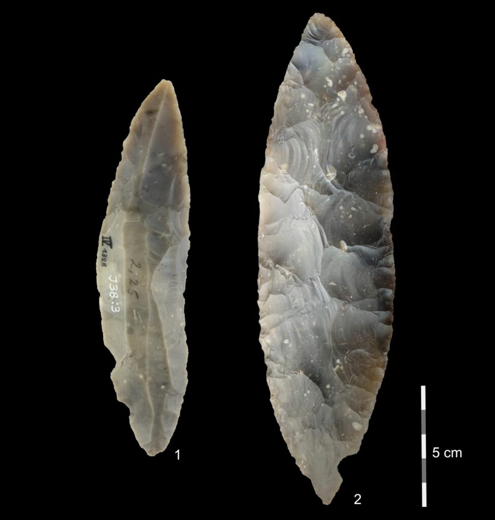 Stone tools from the LRJ at Ranis. 1) partial bifacial blade point characteristic of the LRJ; 2) at Ranis the LRJ also contains finely made bifacial leaf points. Image: Josephine Schubert, Museum Burg Ranis 