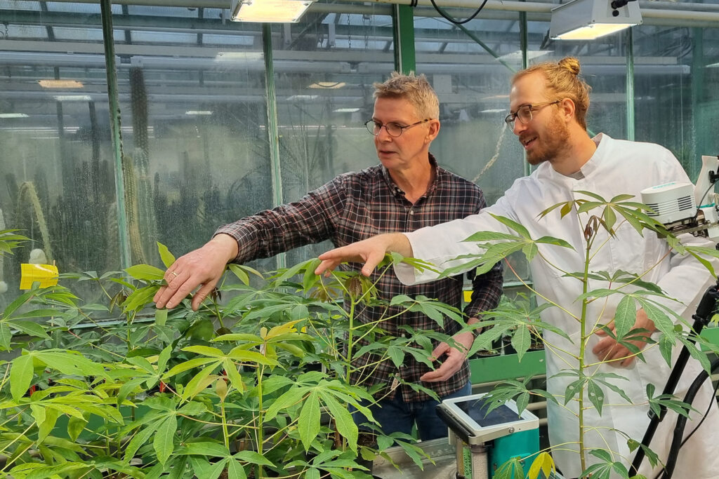 Forscher in Gewächshaus untersuchen Pflanzen