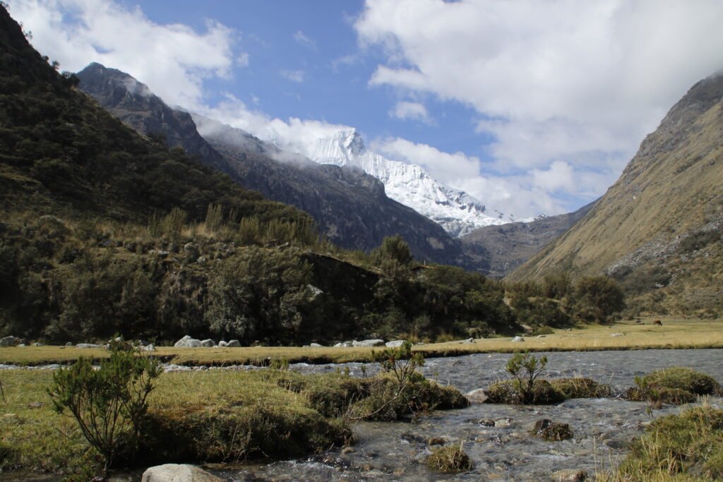 The Tropical Andes. (Image: FAU/Sebastian Marinsek)