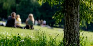 Blick ins grüne Gras, Picknick und Baumstamm, Frühlingsatmosphäre