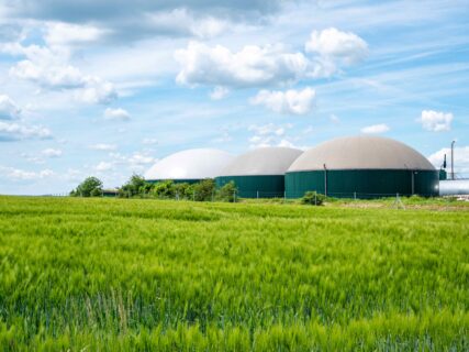 Zum Artikel "Biogasanlagen als Schlüssel zur sicheren Stromversorgung in Deutschland"