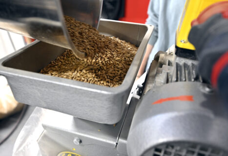 Zu Beginn muss das Malz geschrotet werden. Hierfür werden die verschiedenen Malzsorten, die für die verschiedenen Biere benötigt werden, abgewogen und anschließend in der Schrotmühle zerkleinert. (Bild: FAU/Harald Sippel)