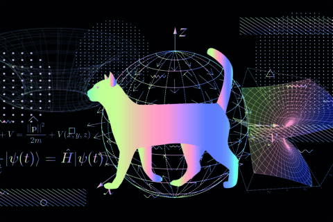 Grafische Darstellung der Quantenmechink mittels Katze, Geometrischer Formen und arithmetischer Formeln.