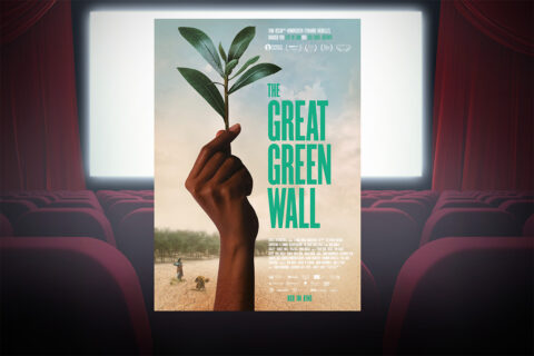 Zum Artikel "Dokumentarfilm: The Great Green Wall"