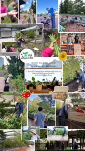 Collage aus Techfak-Garten Bildern mit Menschen an Hochbeeten und Pflanzen