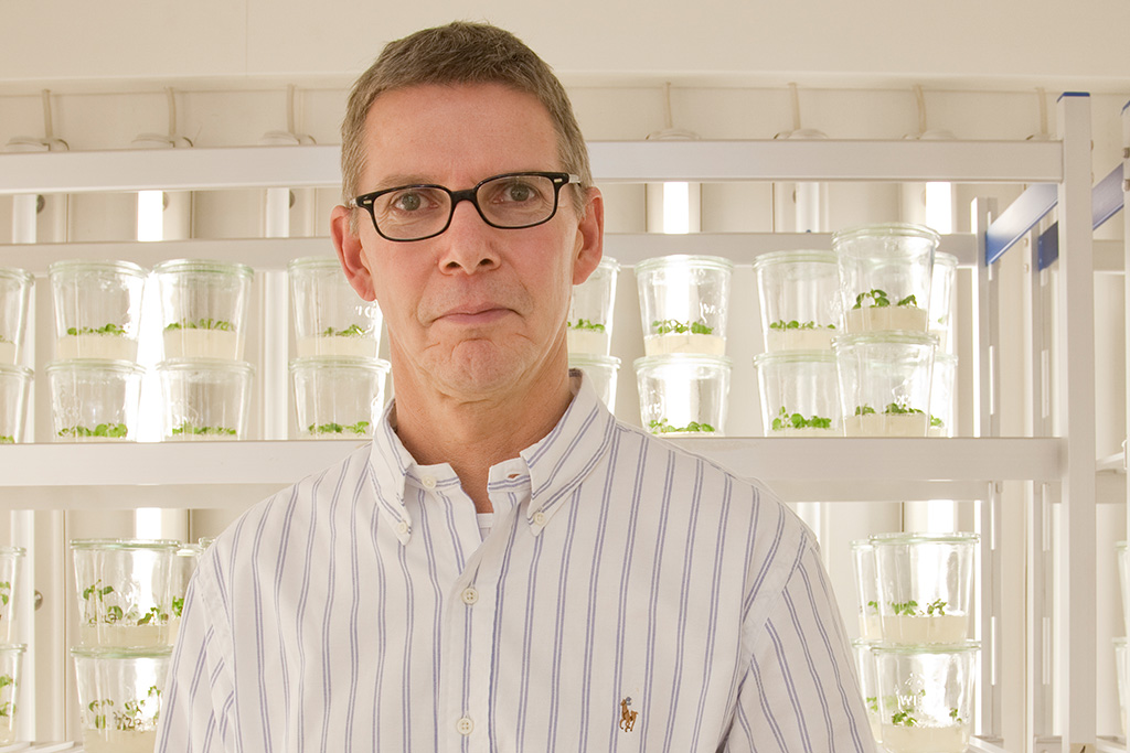 Prof. Sonnewald (Bild: Georg Pöhlein)