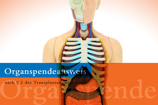 Organspende: Ja? Nein? Vielleicht?