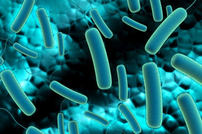 Wie Infektionserreger die Immunabwehr austricksen