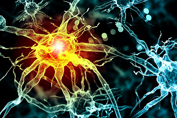 Stammzellen als Fenster ins Gehirn