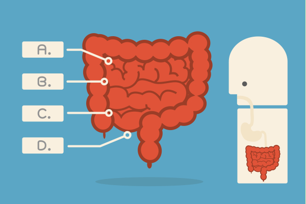 DNAzym hilft bei Darmentzündung