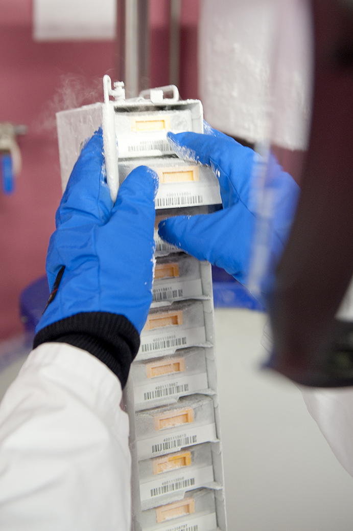 Über 14 Millionen Euro für die Vernetzung deutscher Biobanken