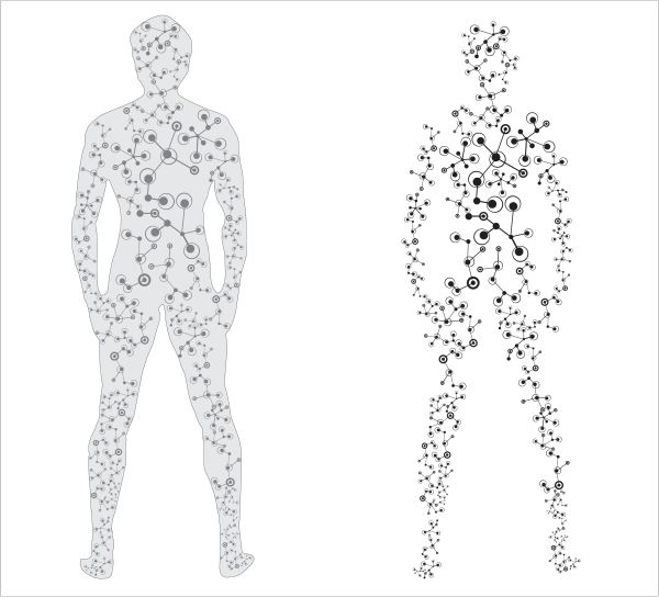 Einsicht ins Immunsystem