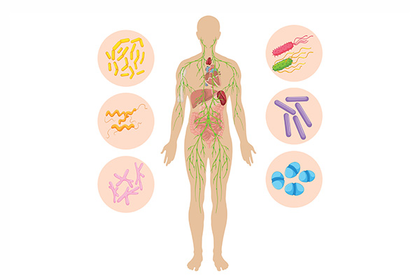 Anpassungsfähig und schnell