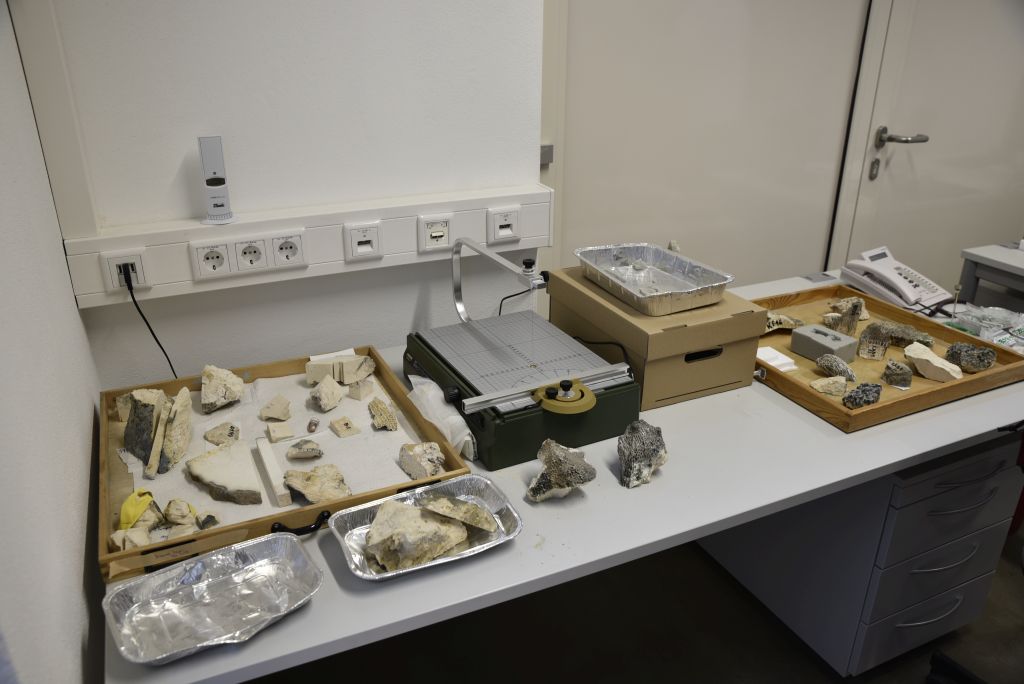 Open Day 2017: Internationaler Master Palaeobiology