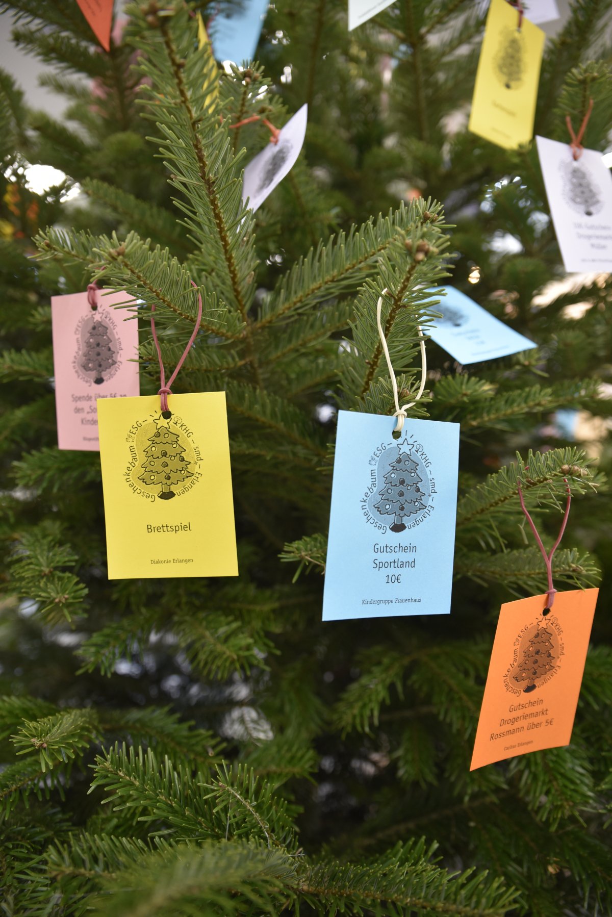 Weihnachtsbaum geschmückt mit Zetteln, auf denen Geschenkideen stehen