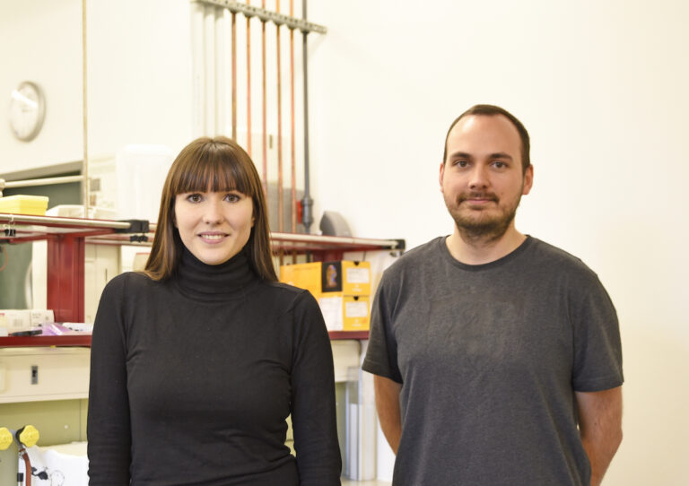 FAU-Team sucht Verstärkung für internationalen iGEM-Wettbewerb