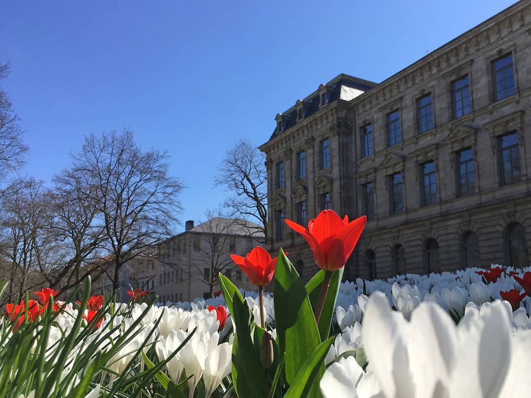 Schlossgarten der FAU