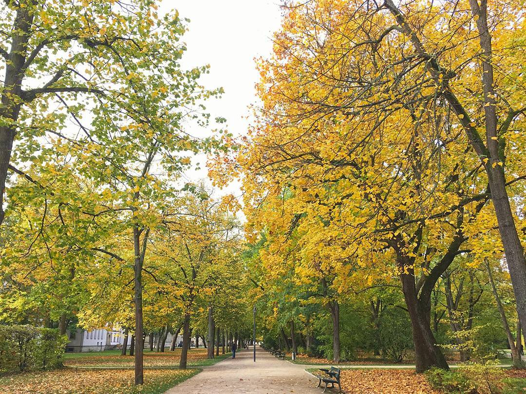 Schlossgarten der FAU