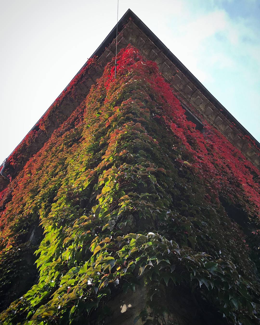 Kollegienhaus der FAU