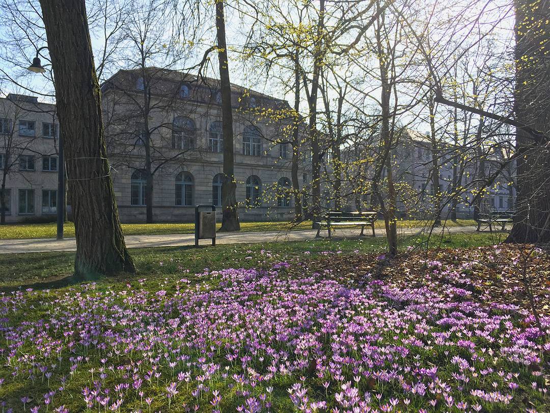 Schlossgarten der FAU