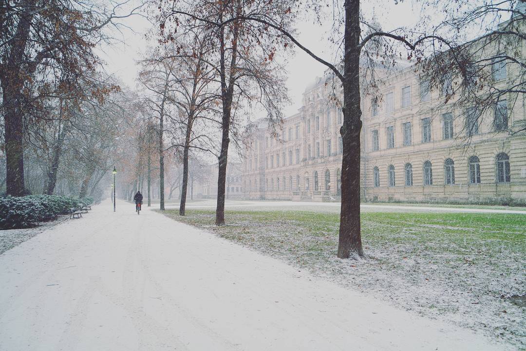 Schlossgarten der FAU