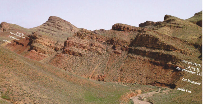 Massenaussterben mit Ansage