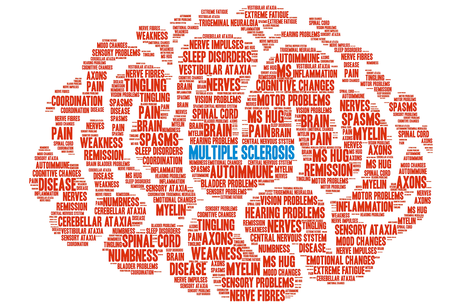 Grafik mit Begriffen rund um MS in Form eines Gehirns