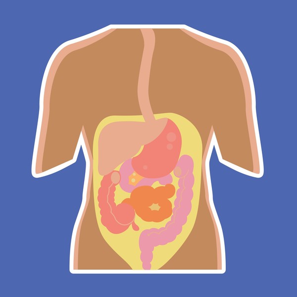 Sieben Millionen Euro für Erforschung chronischer Darmentzündungen
