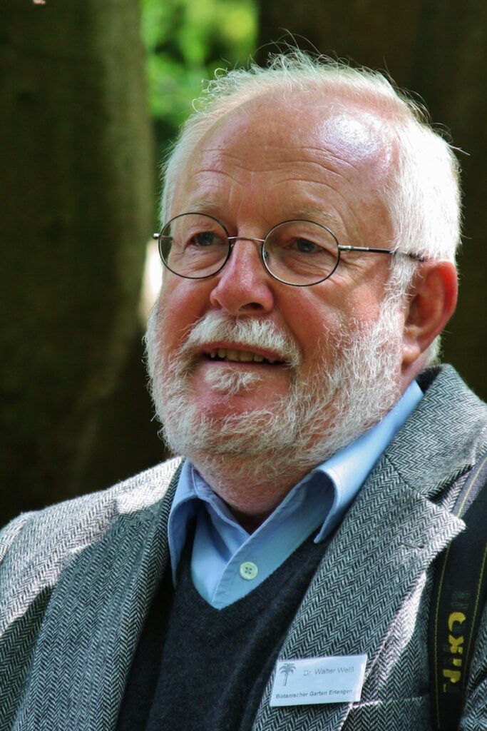 Portrait Dr. Walter Welß