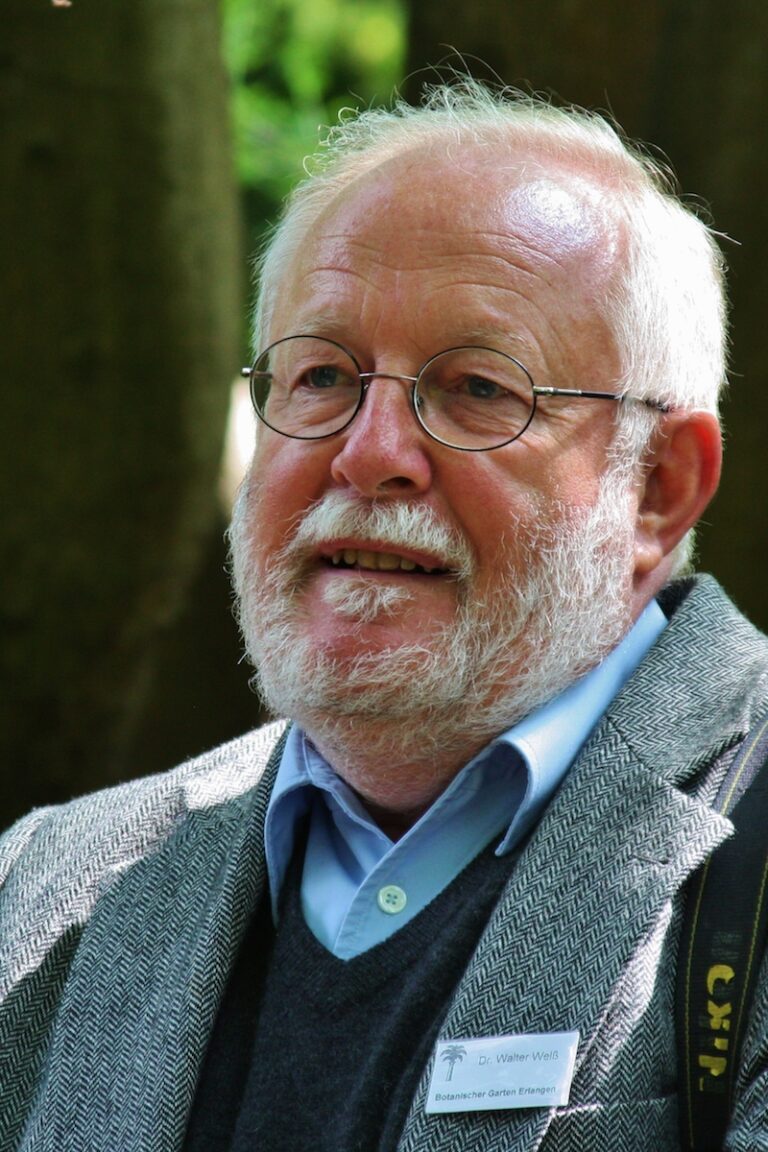 Wie viele Pflanzenarten können noch entdeckt werden?