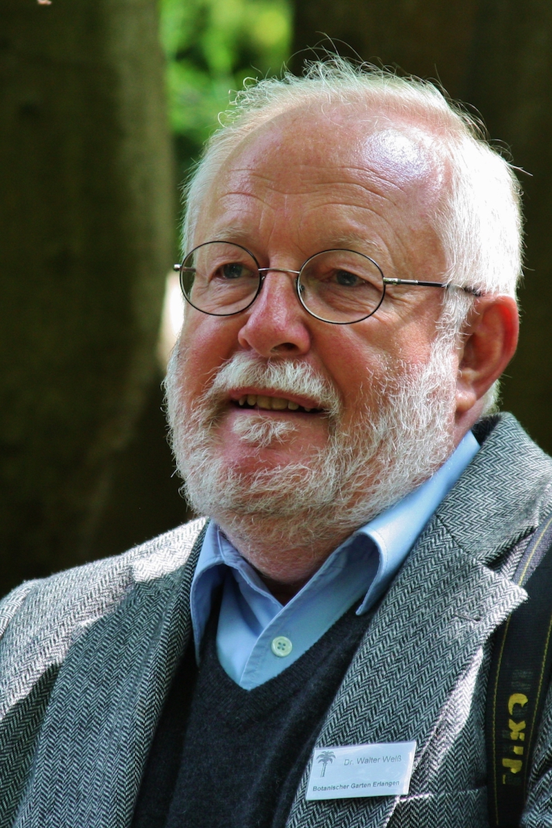 Portrait Dr. Walter Welß