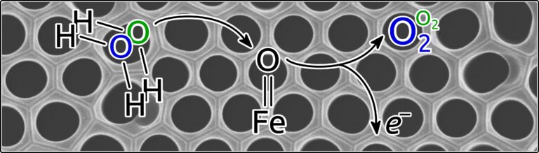 Dank verbesserter Isotopen-Analyse zu mehr Nachhaltigkeit